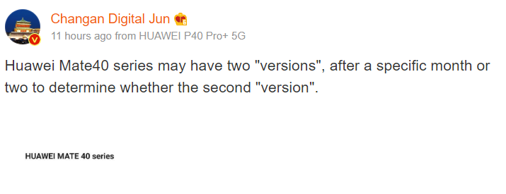 Huawei Mate 40 Series 2 variant leak