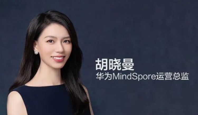 Huawei MindSpore