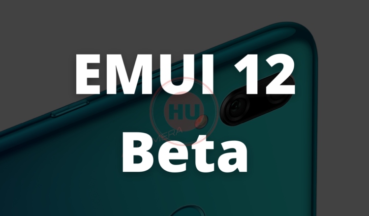 Huawei P smart 2019 EMUI 12 beta update