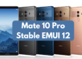 Mate 10 Pro Stable EMUI 12