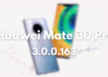 Huawei Mate 30 Pro 3.0.0.163