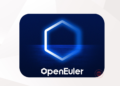 openEuler 1 million download